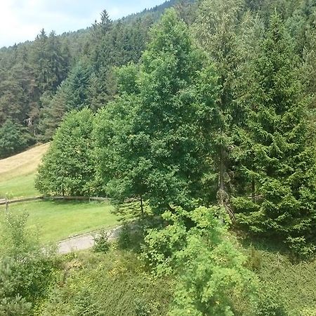 Waldblick Tonbach Apartment ไบเออร์สบรอนน์ ห้อง รูปภาพ