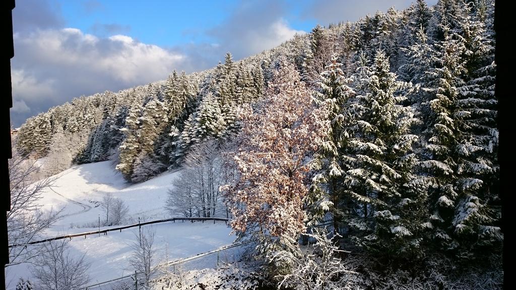 Waldblick Tonbach Apartment ไบเออร์สบรอนน์ ห้อง รูปภาพ