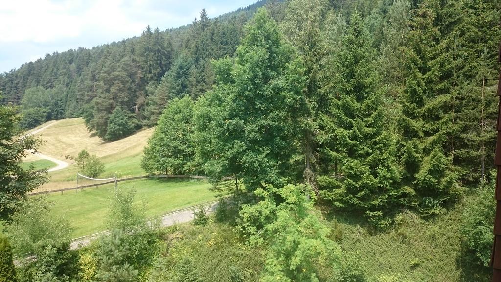 Waldblick Tonbach Apartment ไบเออร์สบรอนน์ ห้อง รูปภาพ