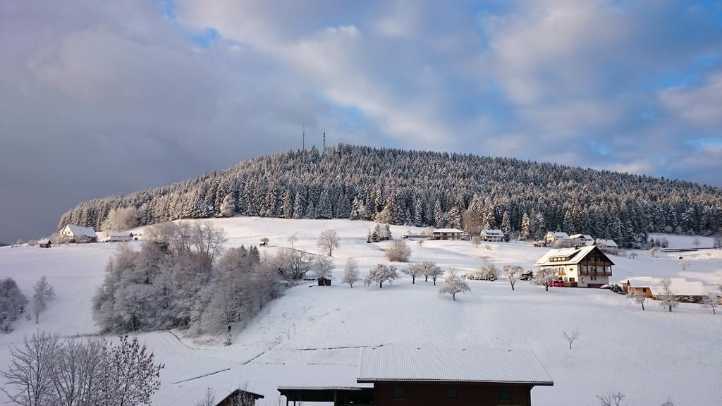 Waldblick Tonbach Apartment ไบเออร์สบรอนน์ ภายนอก รูปภาพ