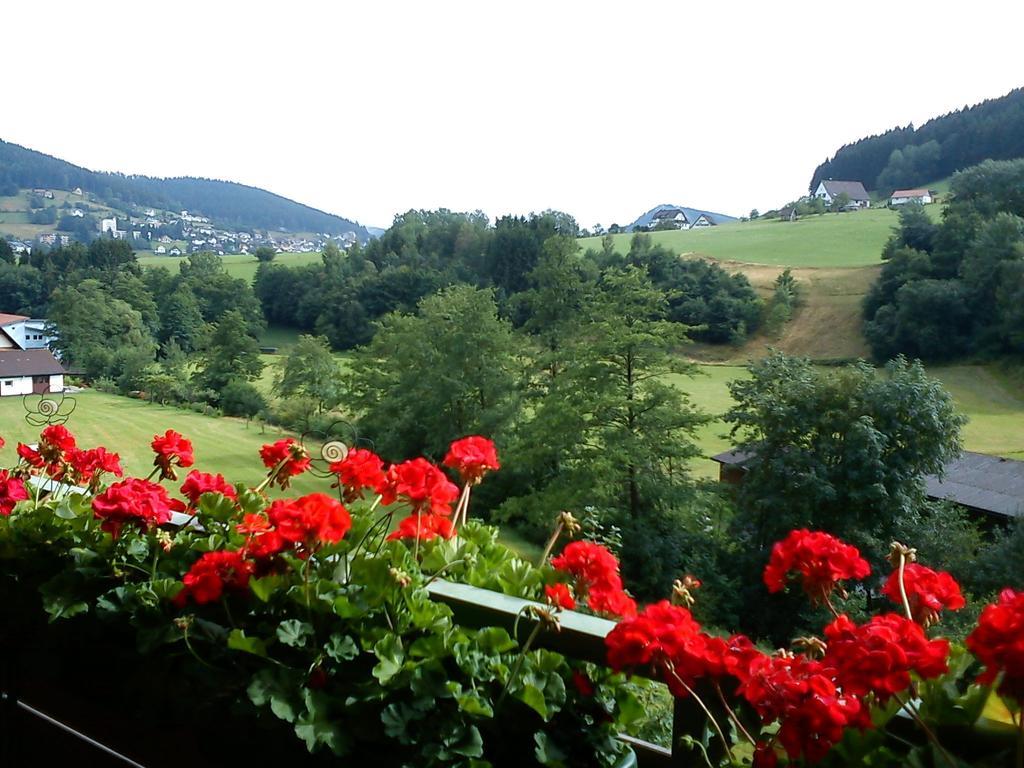 Waldblick Tonbach Apartment ไบเออร์สบรอนน์ ห้อง รูปภาพ